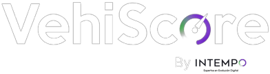 logo vehiscore footer