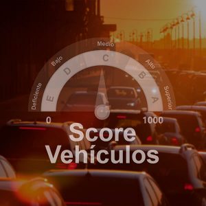 Vehiscore,informe vehicular,histórico vehicular